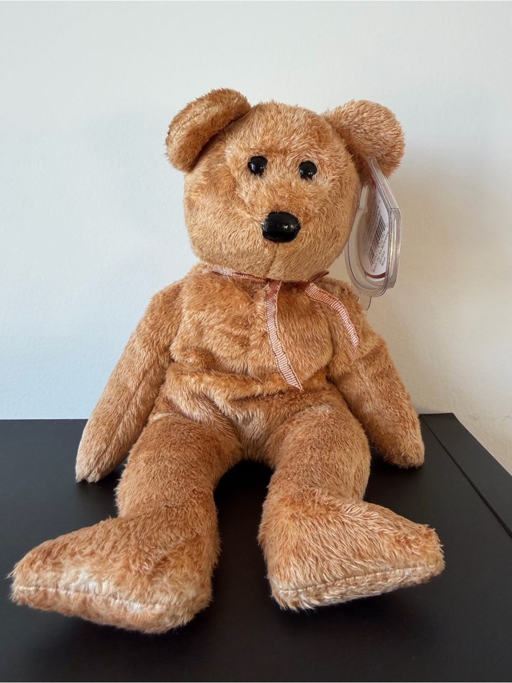 Retired 2000 TY Beanie Baby Cashew Bear With Tag